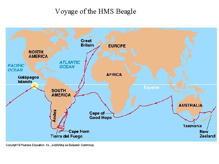 Voyage of the HMS Beagle 