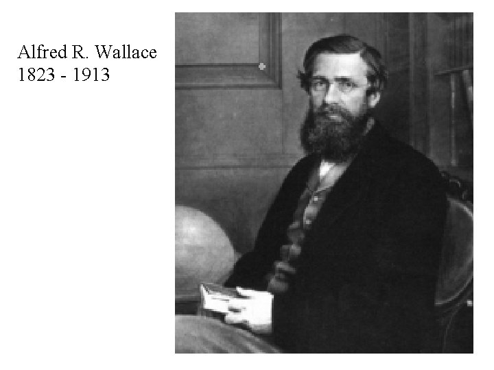 Alfred R. Wallace 1823 - 1913 