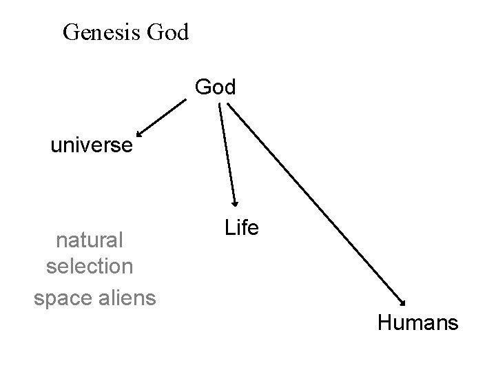 Genesis God universe natural selection space aliens Life Humans 