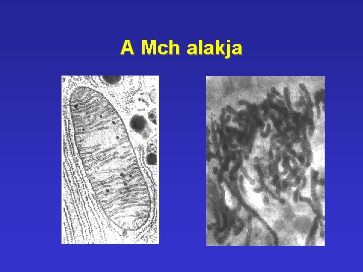 A Mch alakja A Mch alakja