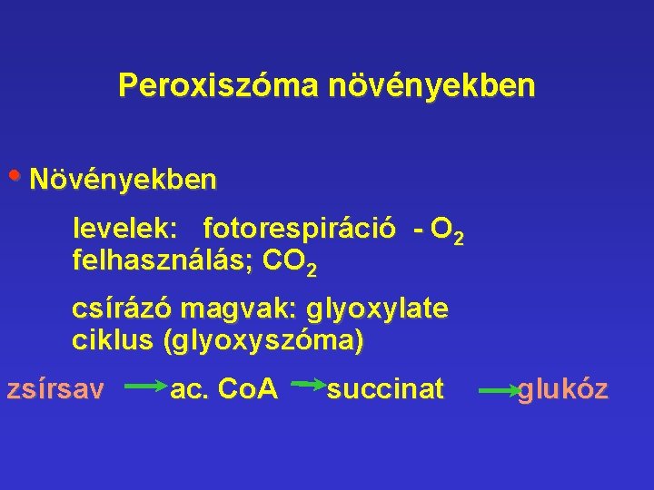 Peroxiszóma növényekben • Növényekben levelek: fotorespiráció - O 2 felhasználás; CO 2 csírázó magvak: Peroxiszóma növényekben • Növényekben levelek: fotorespiráció - O 2 felhasználás; CO 2 csírázó magvak: