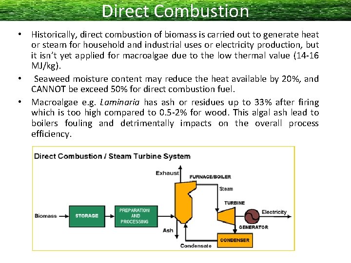 Direct Combustion • Historically, direct combustion of biomass is carried out to generate heat