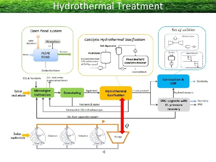 Hydrothermal Treatment 