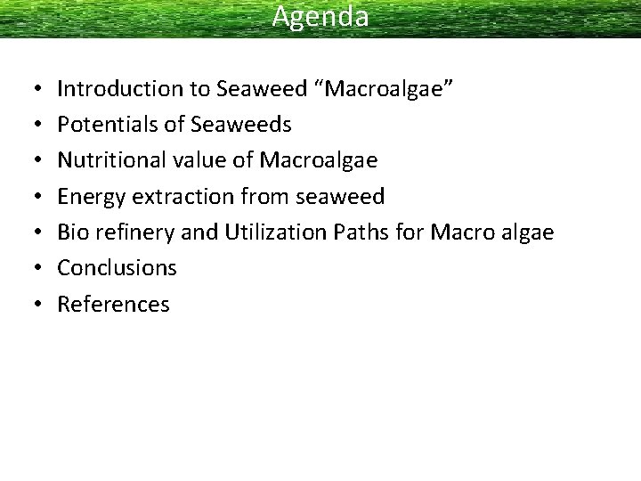 Agenda • • Introduction to Seaweed “Macroalgae” Potentials of Seaweeds Nutritional value of Macroalgae