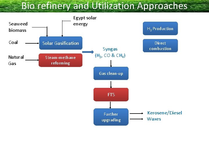 Bio refinery and Utilization Approaches Seaweed biomass Coal Natural Gas Egypt solar energy Solar
