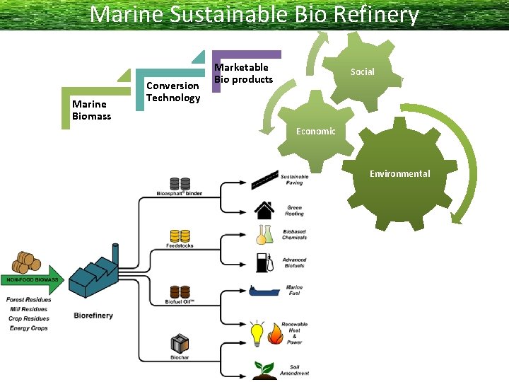 Marine Sustainable Bio Refinery Marine Biomass Conversion Technology Marketable Bio products Social Economic Environmental