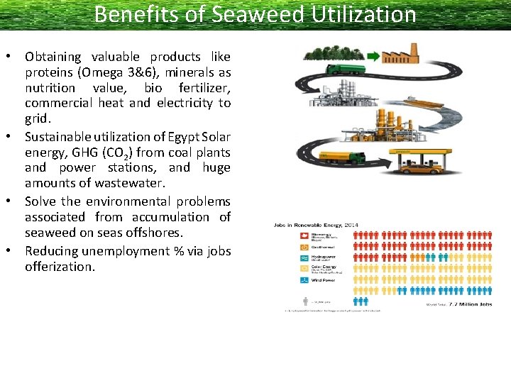 Benefits of Seaweed Utilization • Obtaining valuable products like proteins (Omega 3&6), minerals as