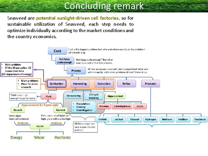 Concluding remark Seaweed are potential sunlight-driven cell factories, so for sustainable utilization of Seaweed,
