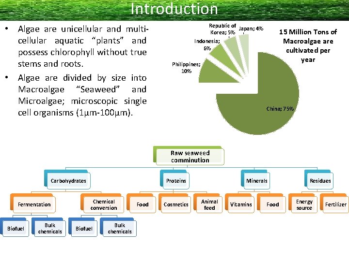 Introduction • Algae are unicellular and multicellular aquatic “plants” and possess chlorophyll without true
