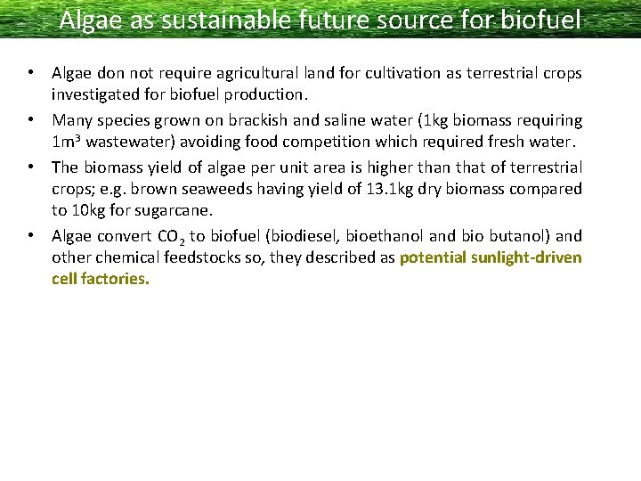 Algae as sustainable future source for biofuel • Algae don not require agricultural land