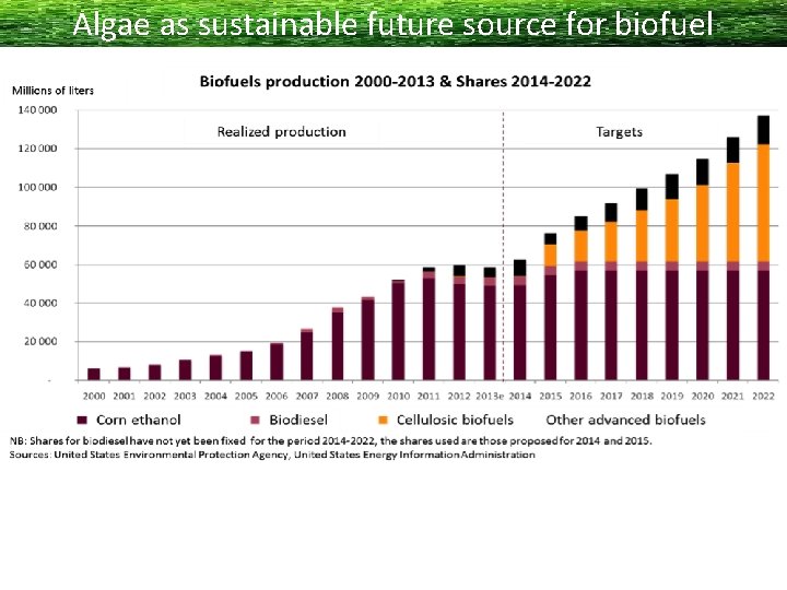 Algae as sustainable future source for biofuel 