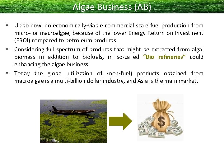 Algae Business (AB) • Up to now, no economically-viable commercial scale fuel production from