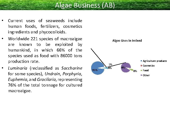 Algae Business (AB) • Current uses of seaweeds include human foods, fertilizers, cosmetics ingredients
