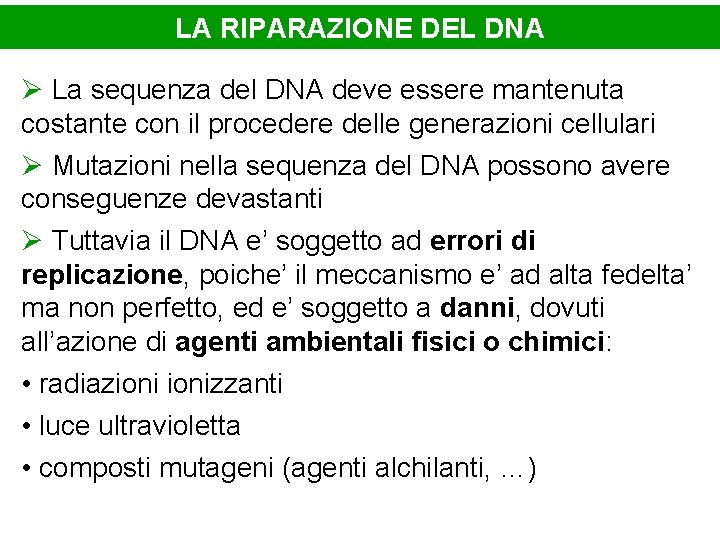 LA RIPARAZIONE DEL DNA Ø La sequenza del DNA deve essere mantenuta costante con