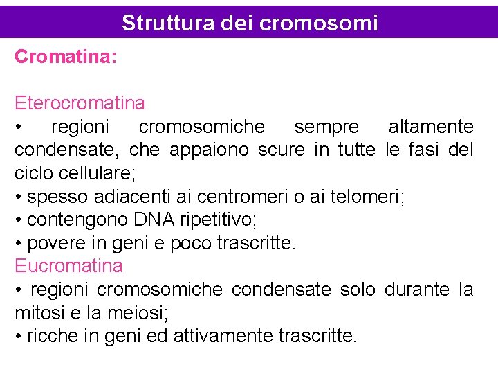 Struttura dei cromosomi Cromatina: Eterocromatina • regioni cromosomiche sempre altamente condensate, che appaiono scure