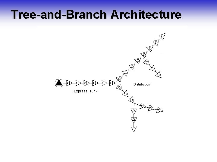 Tree-and-Branch Architecture Express Trunk 