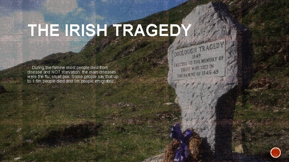 THE IRISH TRAGEDY § During the famine most people died from disease and NOT