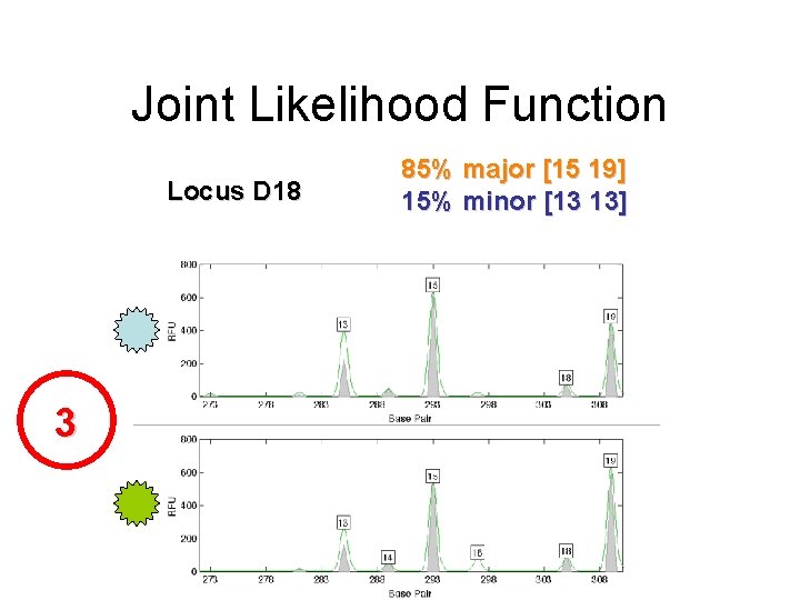 Joint Likelihood Function Locus D 18 3 85% major [15 19] 15% minor [13