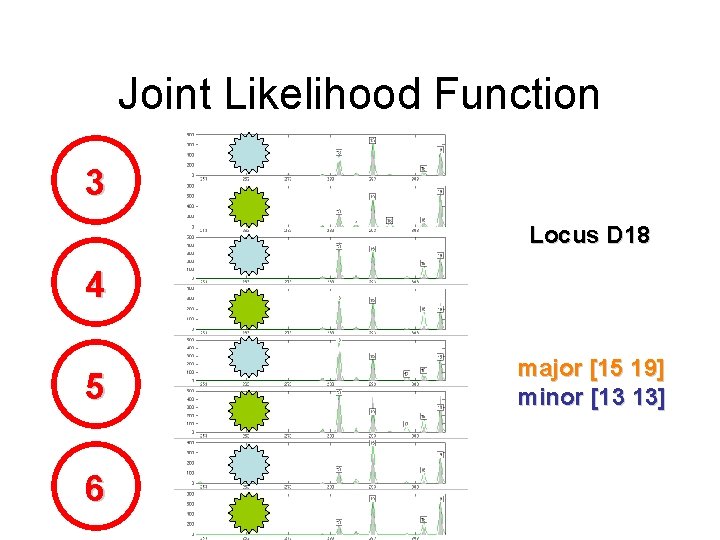Joint Likelihood Function 3 Locus D 18 4 5 6 major [15 19] minor