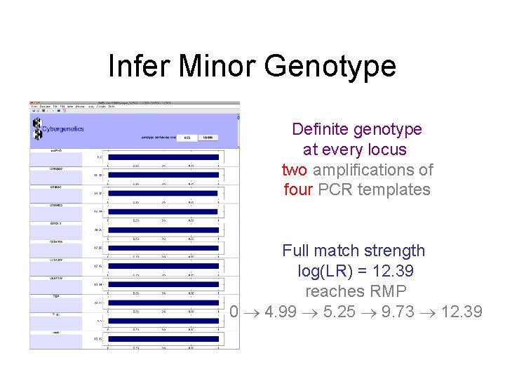 Infer Minor Genotype Definite genotype at every locus two amplifications of four PCR templates