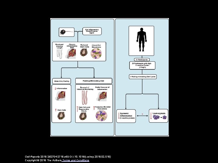 Cell Reports 2019 262704 -2719. e 6 DOI: (10. 1016/j. celrep. 2019. 02. 019)