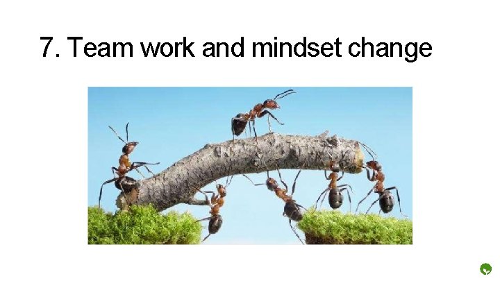 7. Team work and mindset change 