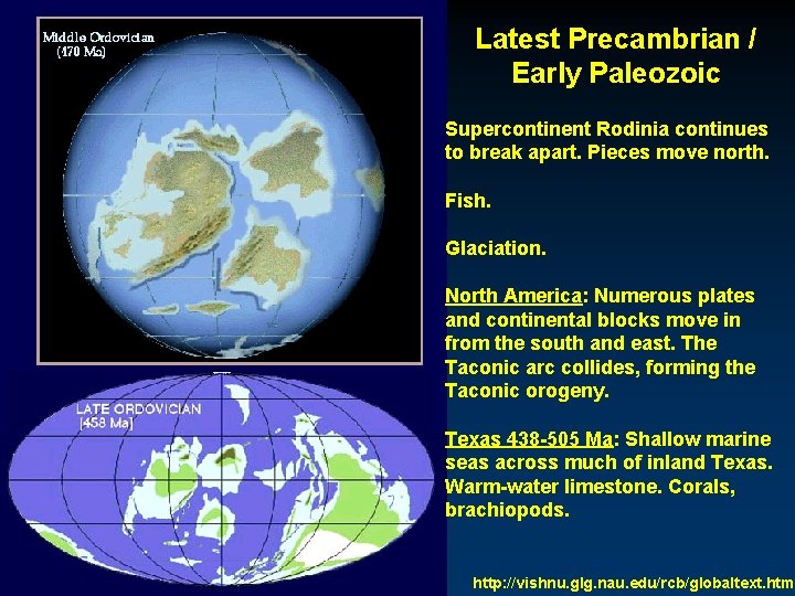 Latest Precambrian / Early Paleozoic Supercontinent Rodinia continues to break apart. Pieces move north.