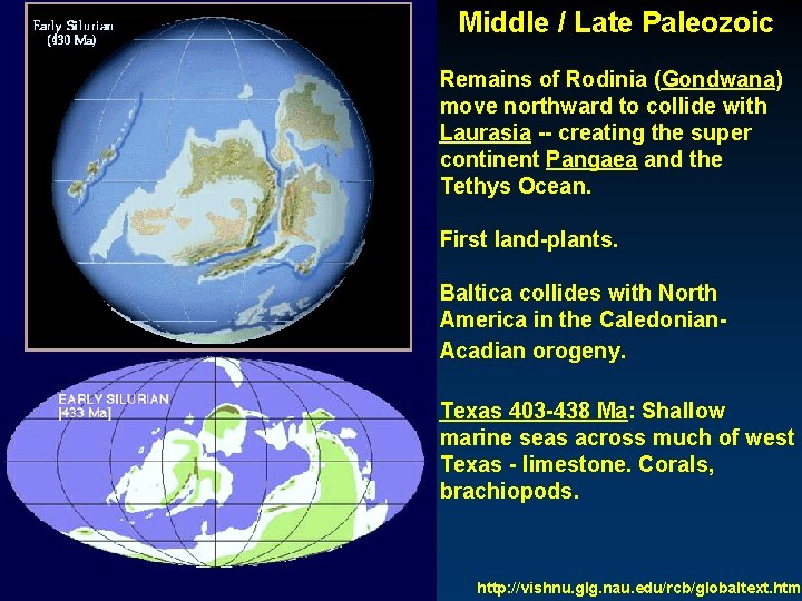 Middle / Late Paleozoic Remains of Rodinia (Gondwana) move northward to collide with Laurasia