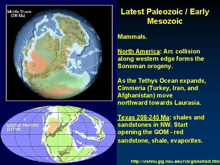 Latest Paleozoic / Early Mesozoic Mammals. North America: Arc collision along western edge forms