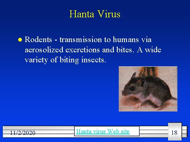 Hanta Virus l Rodents - transmission to humans via aerosolized excretions and bites. A