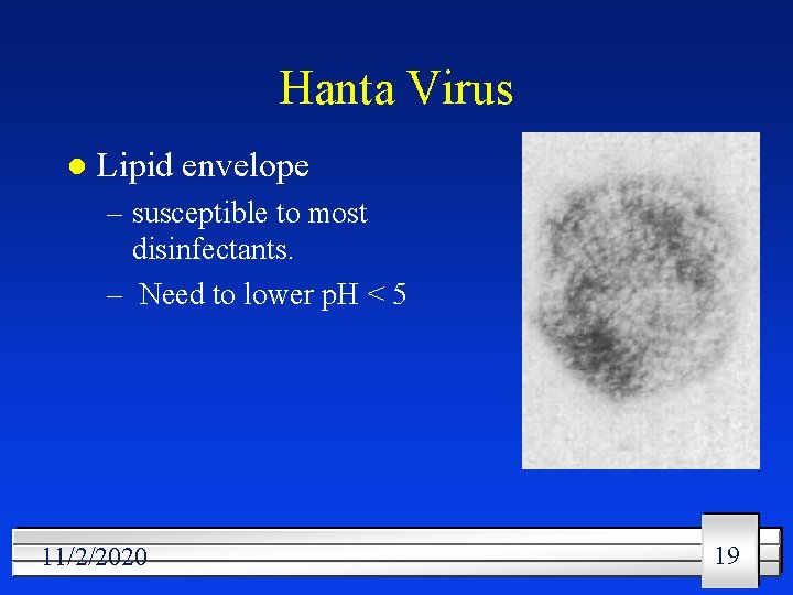 Hanta Virus l Lipid envelope – susceptible to most disinfectants. – Need to lower