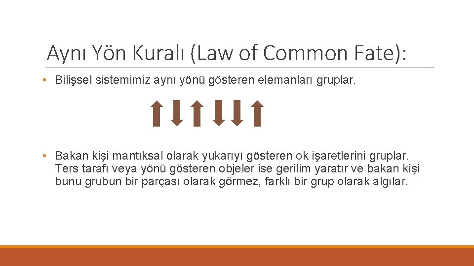 Aynı Yön Kuralı (Law of Common Fate): • Bilişsel sistemimiz aynı yönü gösteren elemanları