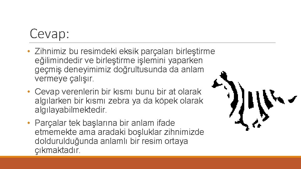 Cevap: • Zihnimiz bu resimdeki eksik parçaları birleştirme eğilimindedir ve birleştirme işlemini yaparken geçmiş