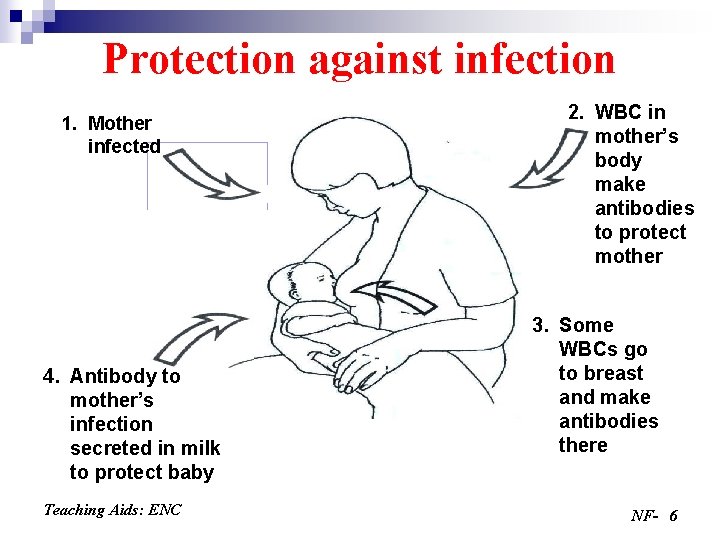 Protection against infection 1. Mother infected 4. Antibody to mother’s infection secreted in milk