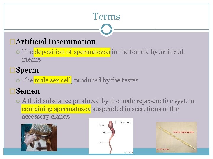 Terms �Artificial Insemination The deposition of spermatozoa in the female by artificial means �Sperm