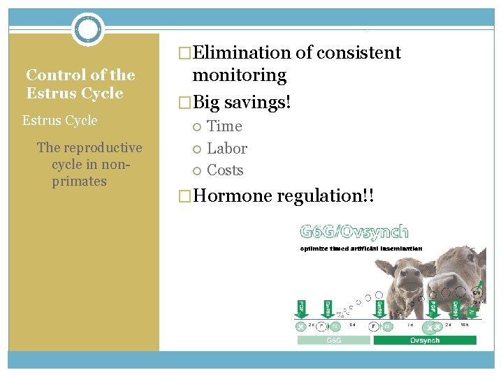�Elimination of consistent Control of the Estrus Cycle The reproductive cycle in nonprimates monitoring