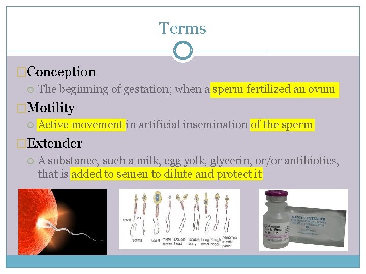 Terms �Conception The beginning of gestation; when a sperm fertilized an ovum �Motility Active
