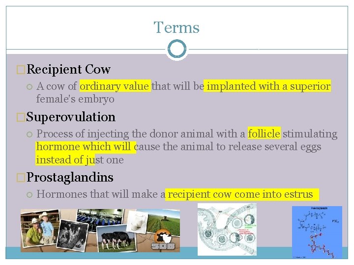 Terms �Recipient Cow A cow of ordinary value that will be implanted with a
