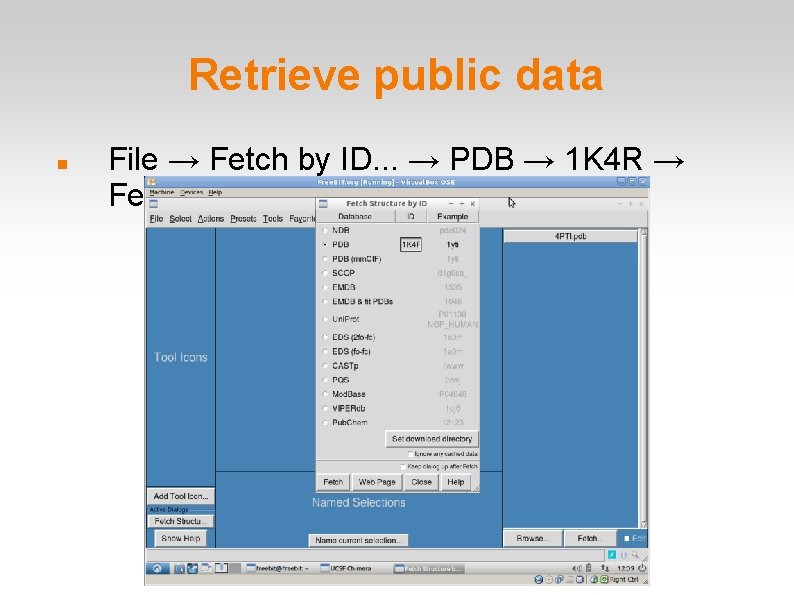 Retrieve public data File → Fetch by ID. . . → PDB → 1