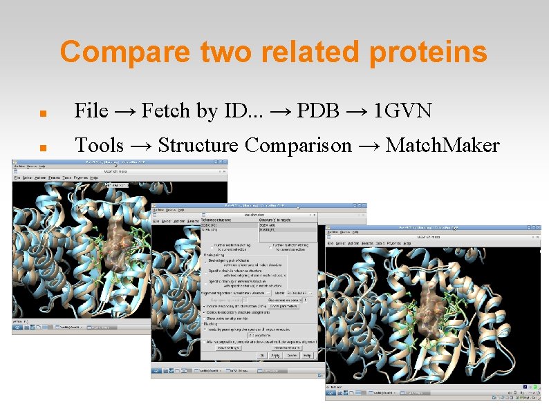 Compare two related proteins File → Fetch by ID. . . → PDB →