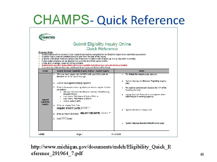 CHAMPS- Quick Reference Medicaid ID http: //www. michigan. gov/documents/mdch/Eligibility_Quick_R eference_291964_7. pdf 46 