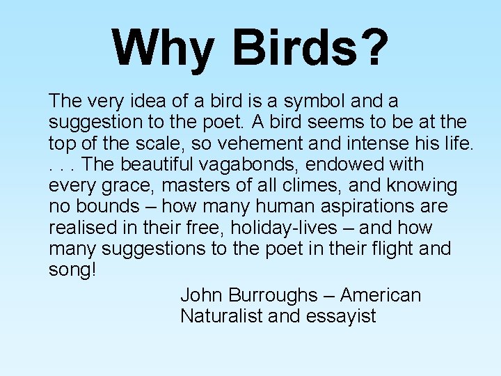 Why Birds? The very idea of a bird is a symbol and a suggestion