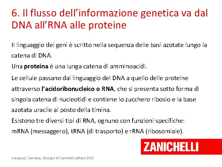6. Il flusso dell’informazione genetica va dal DNA all’RNA alle proteine Il linguaggio dei