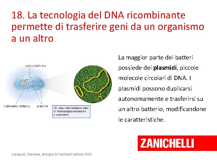 18. La tecnologia del DNA ricombinante permette di trasferire geni da un organismo a