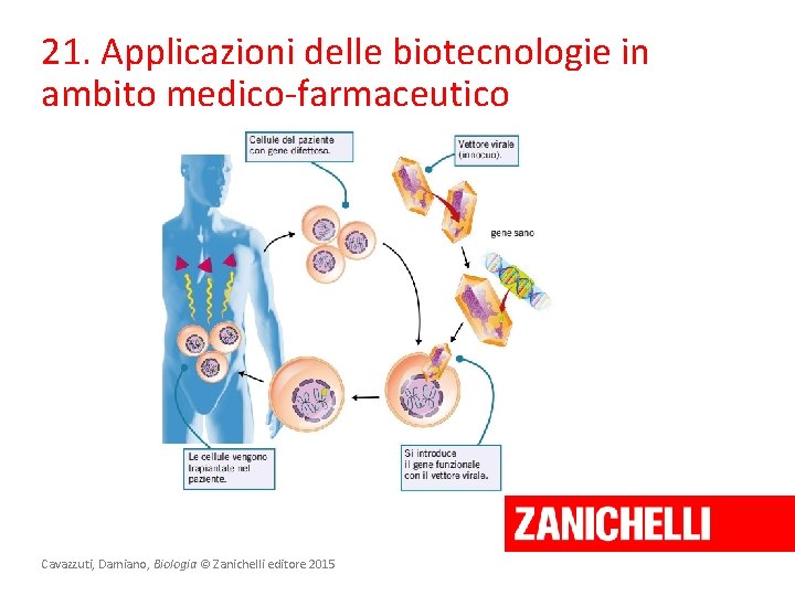 21. Applicazioni delle biotecnologie in ambito medico-farmaceutico Cavazzuti, Damiano, Biologia © Zanichelli editore 2015