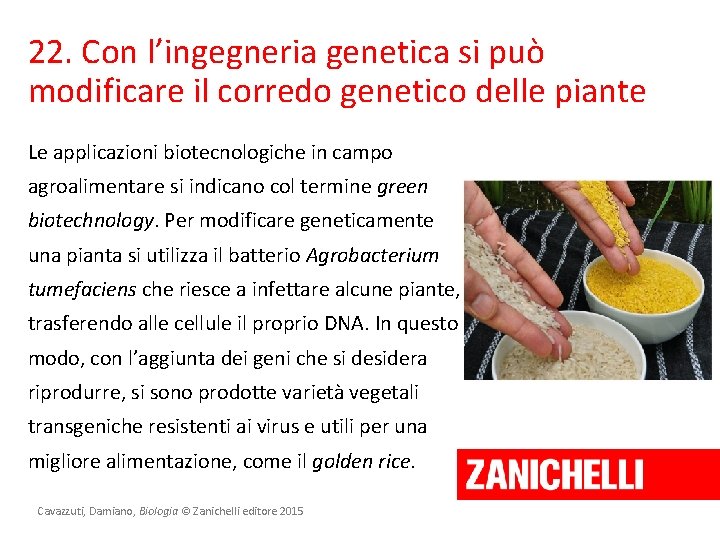 22. Con l’ingegneria genetica si può modificare il corredo genetico delle piante Le applicazioni