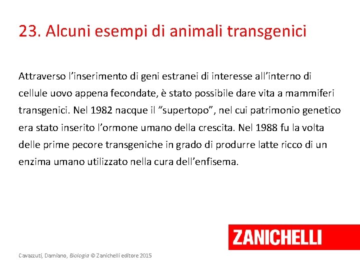 23. Alcuni esempi di animali transgenici Attraverso l’inserimento di geni estranei di interesse all’interno