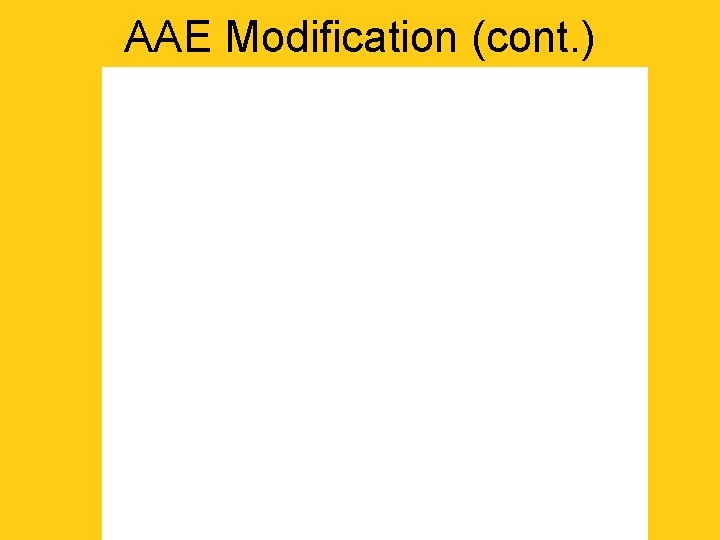 AAE Modification (cont. ) 