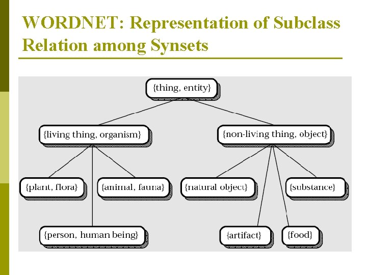 WORDNET: Representation of Subclass Relation among Synsets 