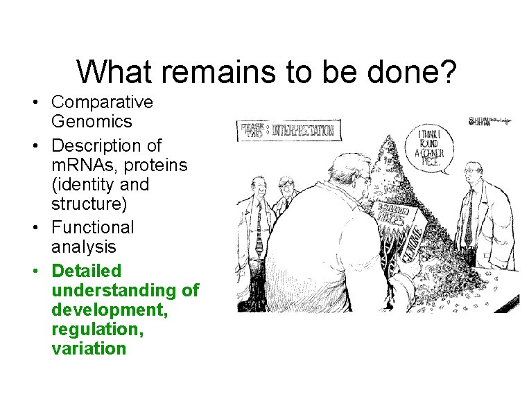 What remains to be done? • Comparative Genomics • Description of m. RNAs, proteins